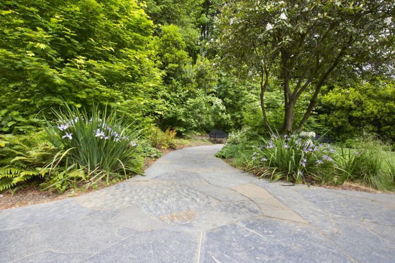 Pathway Paving