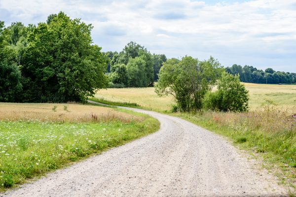 Cost of Stone Driveway Repair in Columbia
