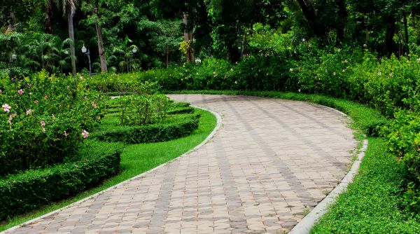 Cost of Paver Walkway Repair in Columbia