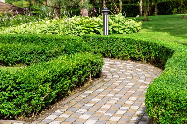 Cost of Paved Landscaping in Columbia