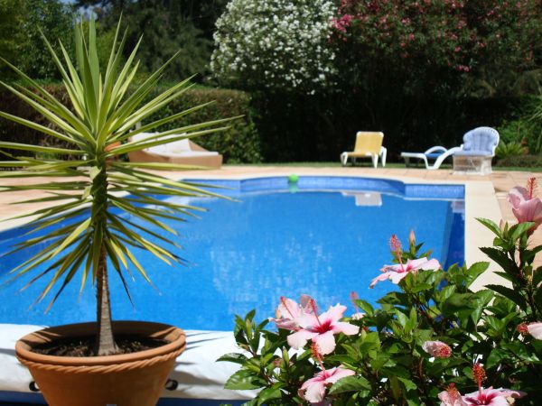 Cost of Pool Terrace Renovation in Columbia
